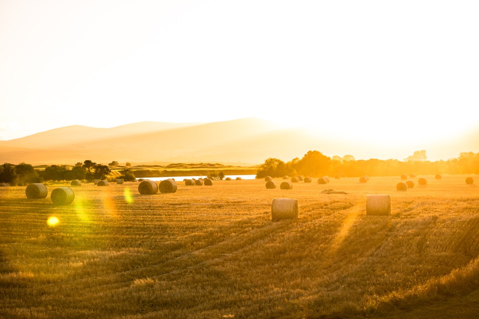 The UK’s farming industry is calling for a crop of new talent