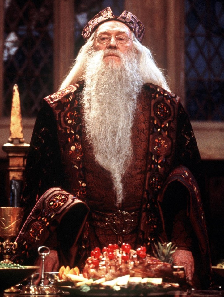 Richard Harris as the gentle and wise wizard Albus Dumbledore in the Harry Potter films