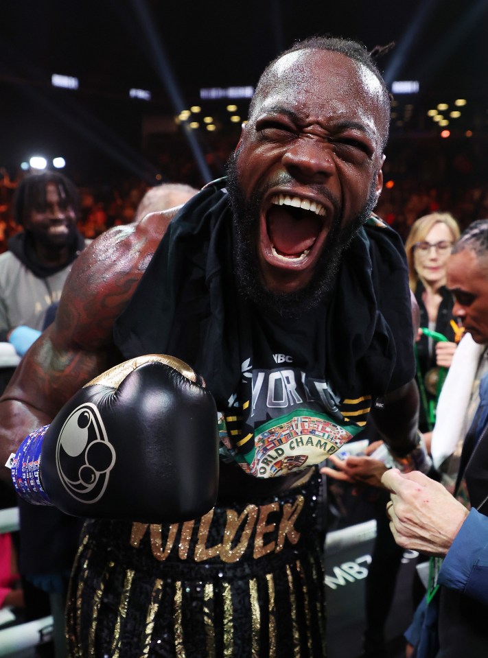 Deontay Wilder after knocking out Robert Helenius