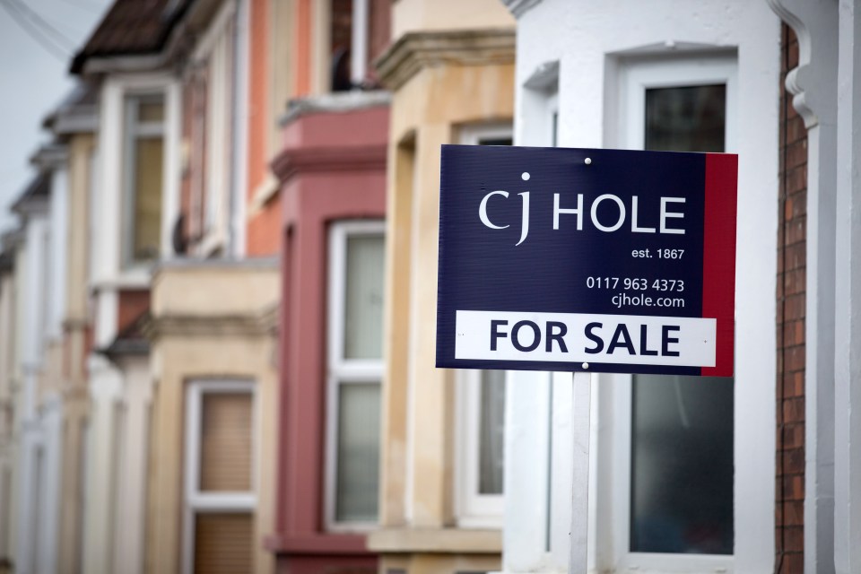 We ask property experts what will happen to house prices next year