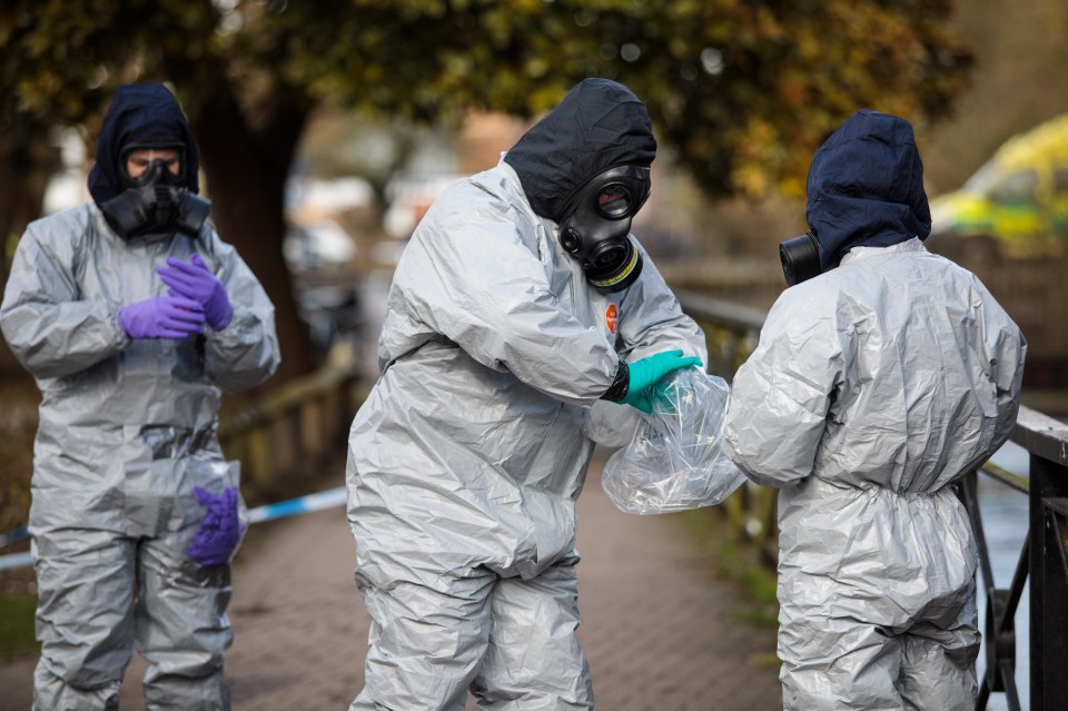 Hackers thought to be on order from European businessmen targeted the top politician during the investigation into the Russian novichok attack in April 2018