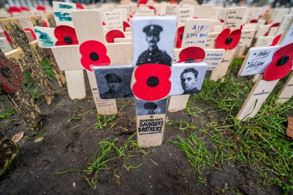 Crosses with poppies at Westminster, placed for Remembrance Day, honouring the fallen soldiers