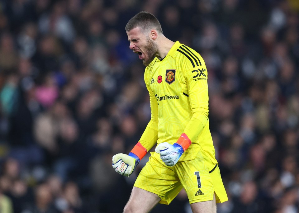 David De Gea was snubbed by Spain boss Luis Enrique