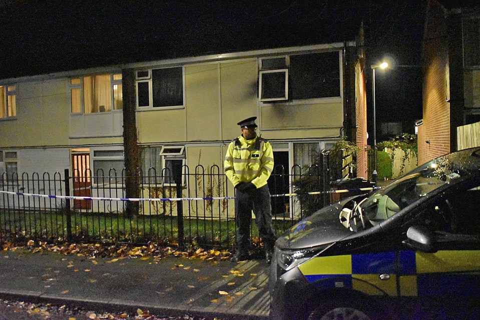 Police launched an investigation after a fire broke out early yesterday morning, killing two children