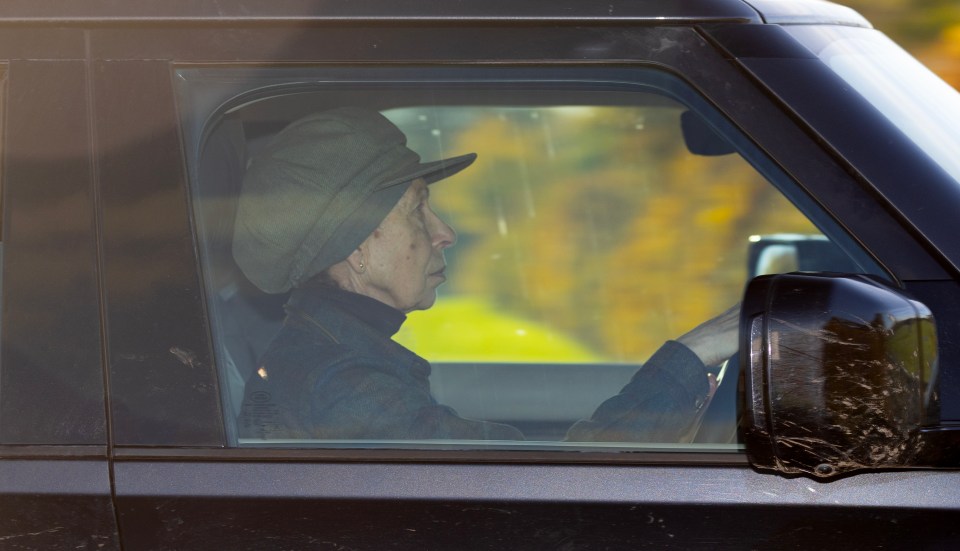 Princess Anne attended the party at Windsor