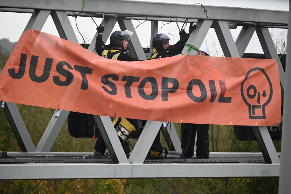 Green direct action groups such as Just Stop Oil have become cult-like