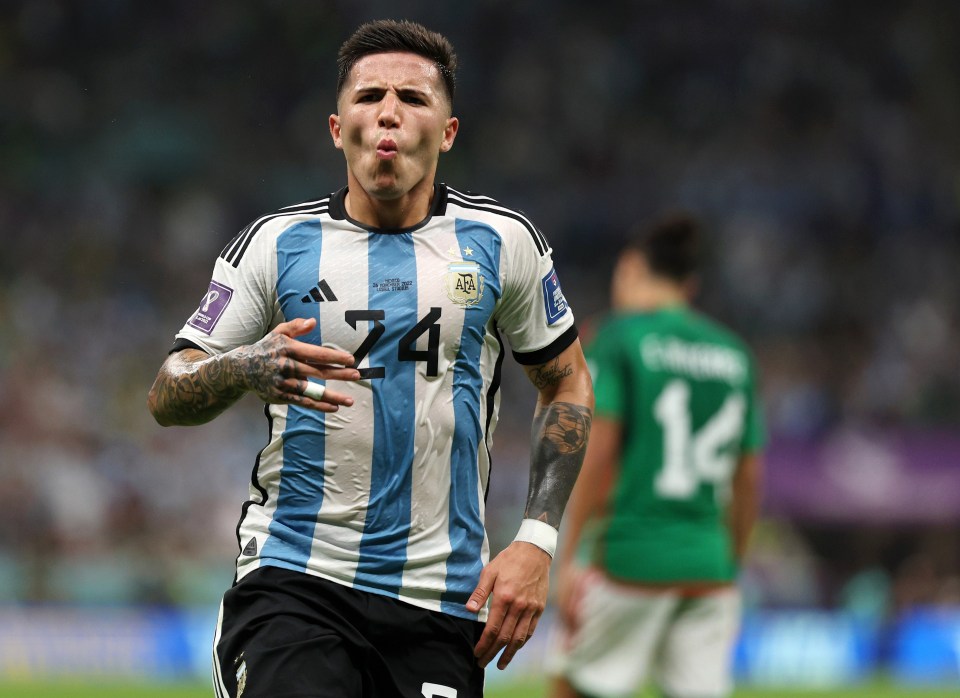 Fernandez enjoys his screamer as he seals Argentina's victory