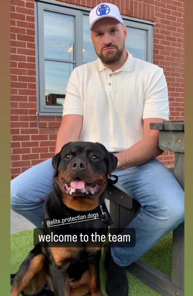 Fury spent £20,000 to buy this security Rottweiler