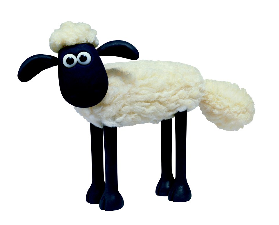 Wool can be used for insulation and it is very cheap