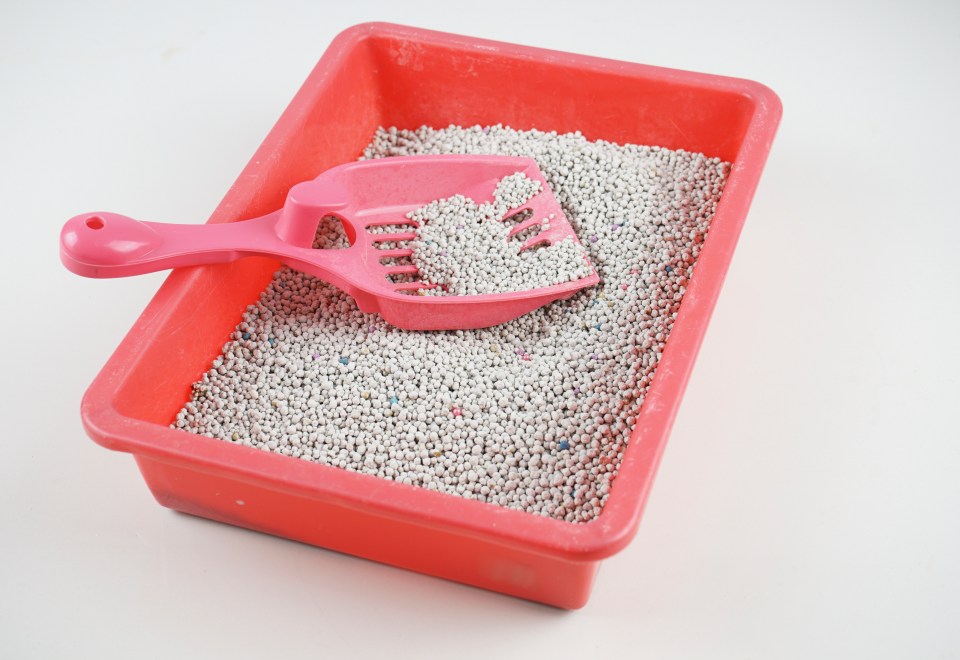 Cat litter can absorb excess water