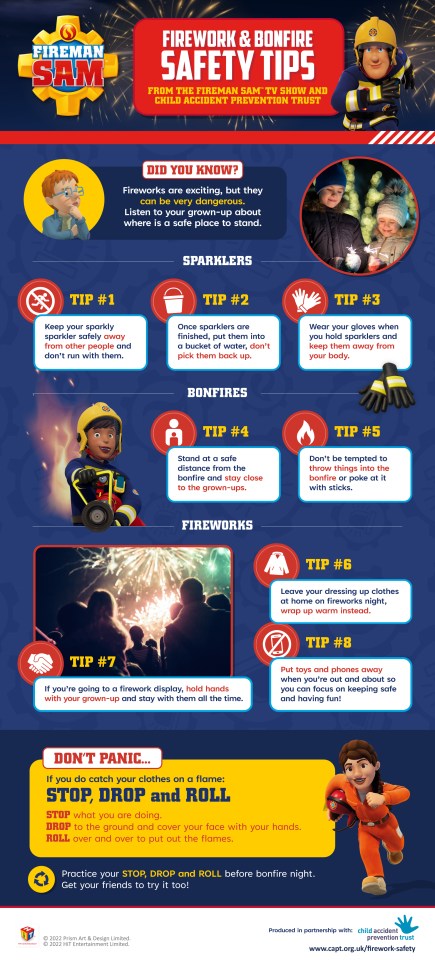 Firework and Bonfire night safety tips