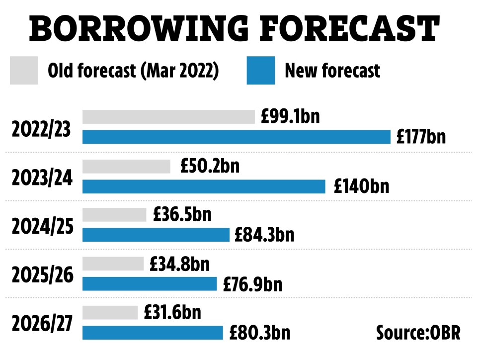 Government borrowing forecast