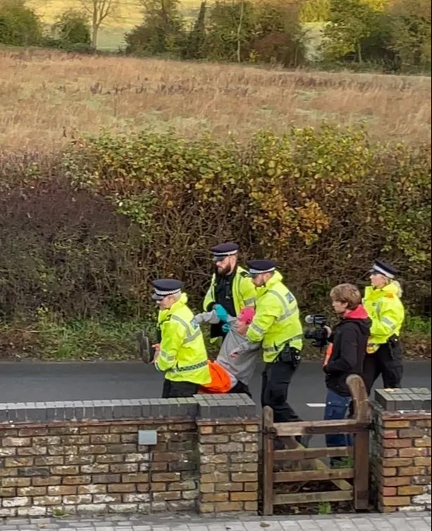 Surrey Police made two arrests and removed people from gantries and the Met arrested one man