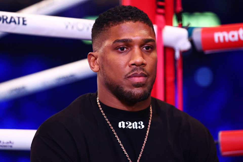 Anthony Joshua said a resurged Deontay Wilder is 'more than ready' to fight in 2023