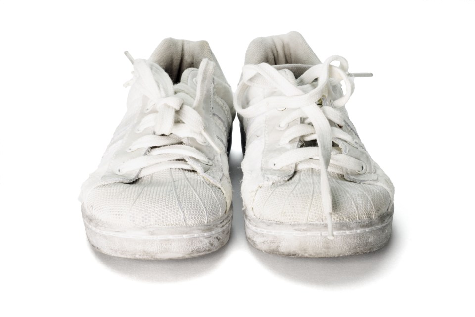 From stains on carpets, cleaning windows to getting rid of odours in shoes