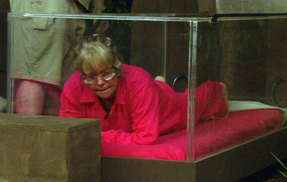 Linda in the I’m A Celebrity…Get Me Out Of Here! Bugs immunity challenge