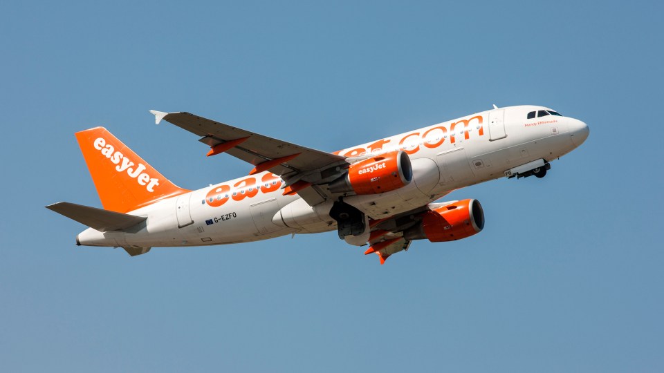 A man has died onboard an easyJet flight that was heading into London