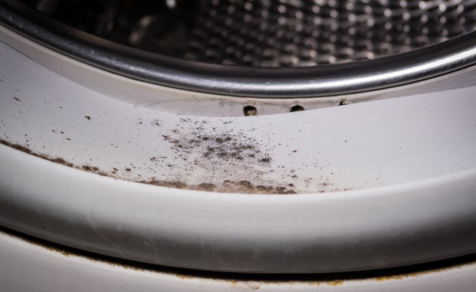 So if there's mould in your washing machine, you'll want to give this a try