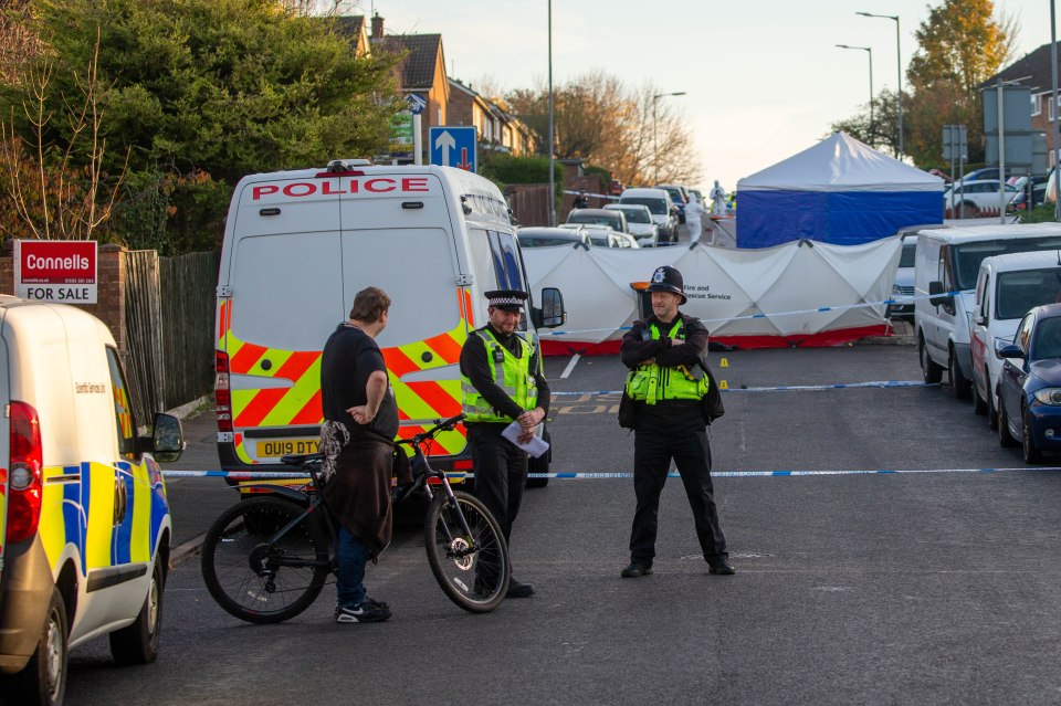 Two men have died in a triple stabbing in Houghton Regis