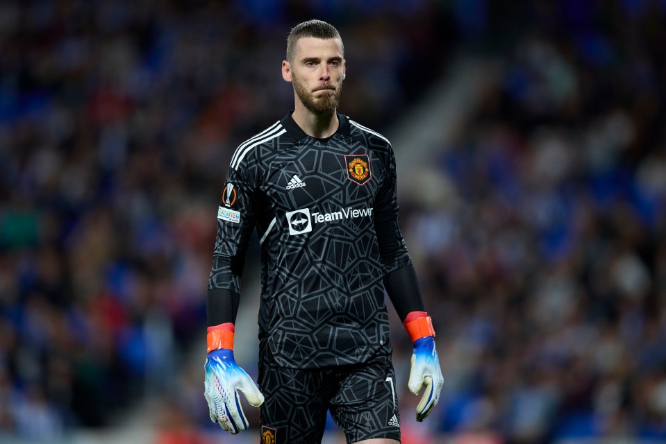 David De Gea has missed out on Spain's World Cup squad