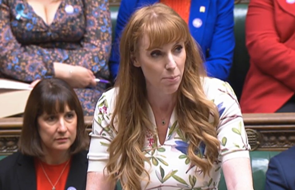 Angela Rayner demanded the resignation of Dominic Raab who has been accused of bullying