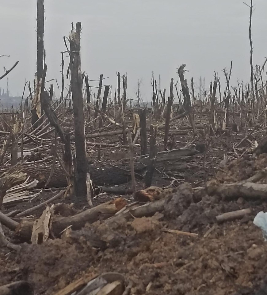 Much of Ukraine now resembles the battle-scarred trenches of WW1