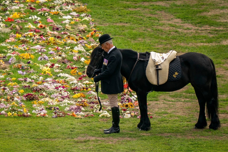 The Queen’s last ‘favourite’ horse was Emma, who appeared at the monarch’s funeral