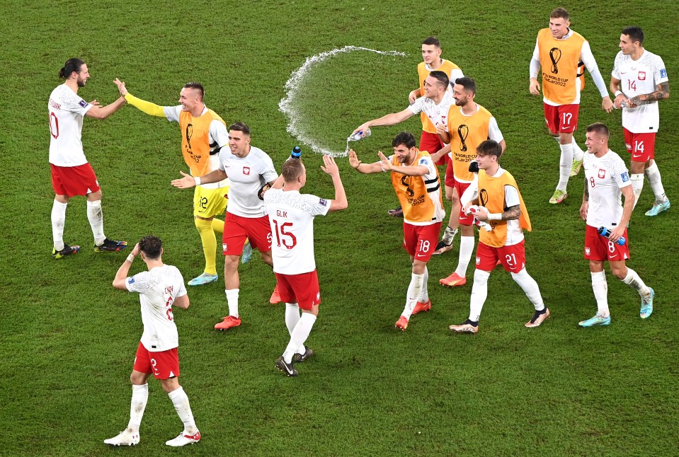 Poland were jumping for joy after Saudi Arabia's late goal