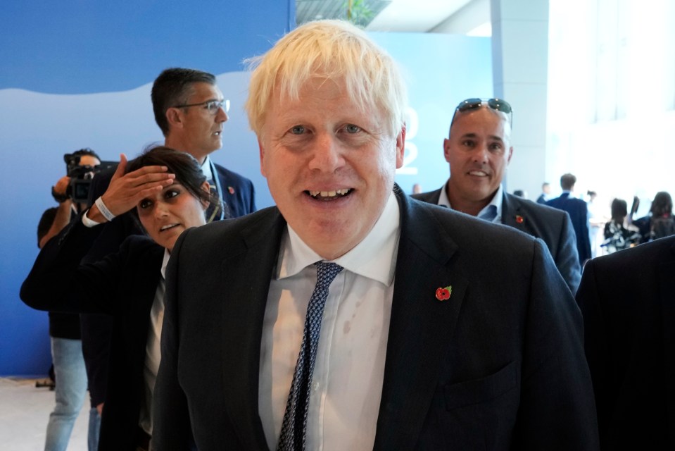 Boris Johnson is attending COP27 in Sharm El Sheikh