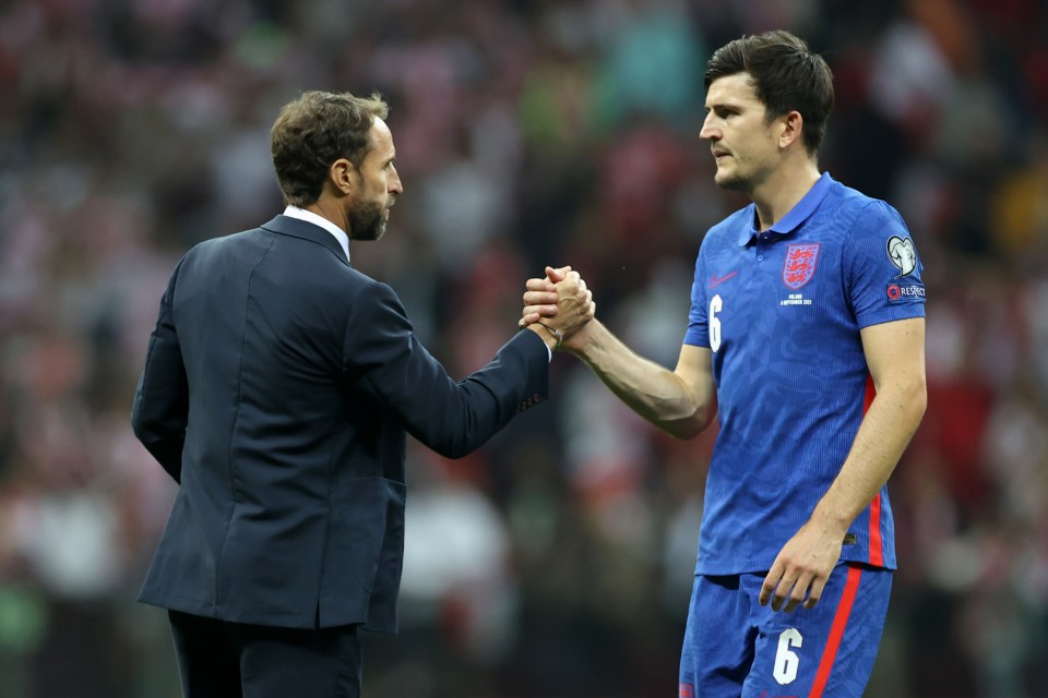 Manager Gareth Southgate and centre-back Harry Maguire have both come under 'ridiculous' flak, according to Ashley Young