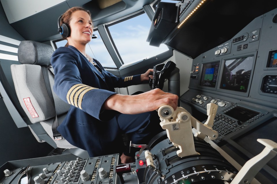 Pilots aren't actually in control of planes during extreme turbulence (stock image)