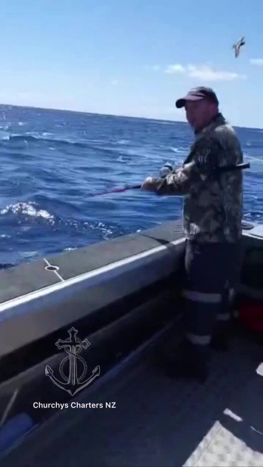 Those on board were stunned when the shark crashed on board