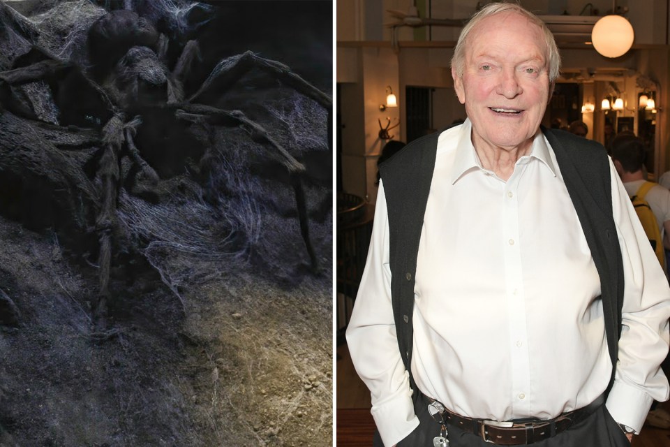 Julian leant his voice to Aragog the spider