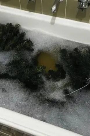 A house-proud cleaning fan has divided the Internet after she revealed that she cleans her Christmas tree in the bath before putting it up