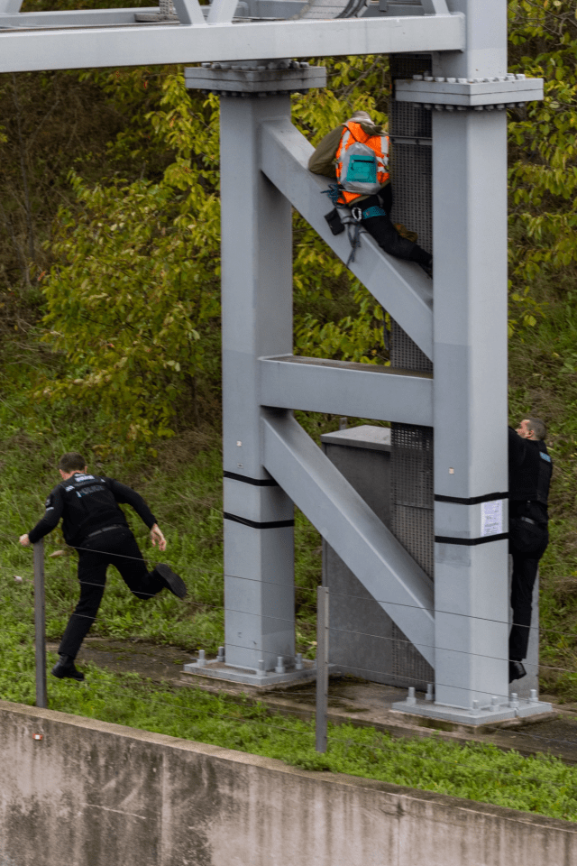 Cops arrested tens of the group's members