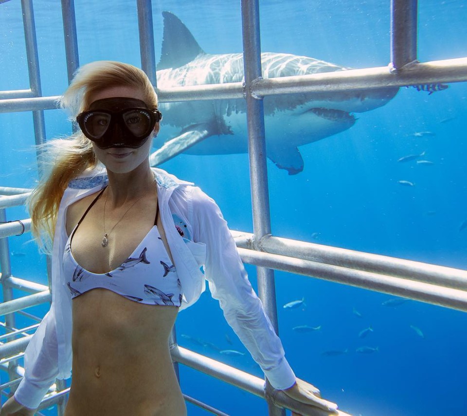 The diver has been swimming with sharks for more than two decades