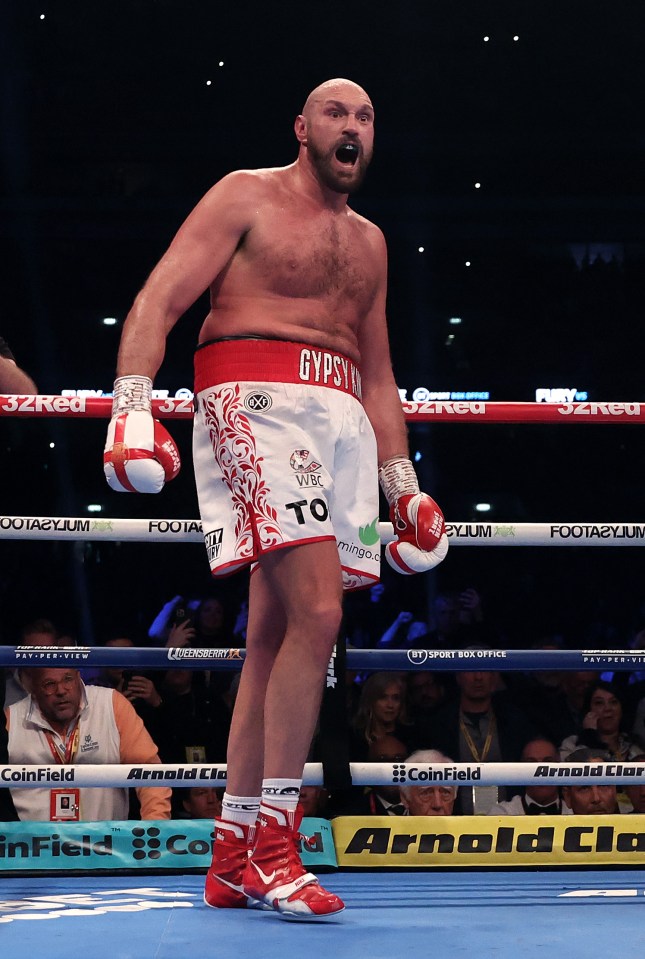 Tyson Fury is set to face Oleksandr Usyk in a blockbuster undisputed title fight next year