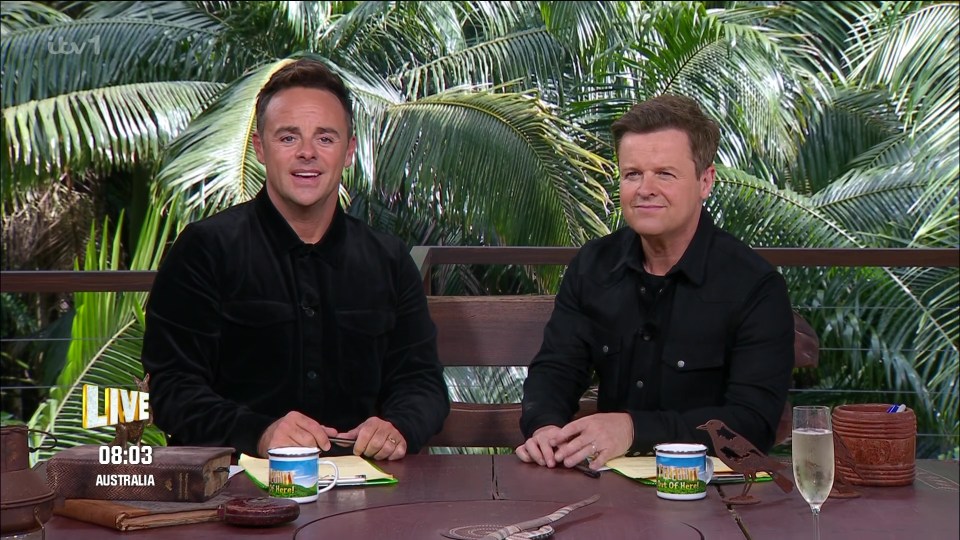 Ant and Dec were not their usual jovial selves