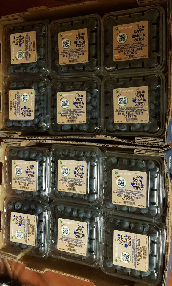 A woman has found herself being trolled after showing off the amount of 39p packs of blueberries she nabbed from her local Farmfoods