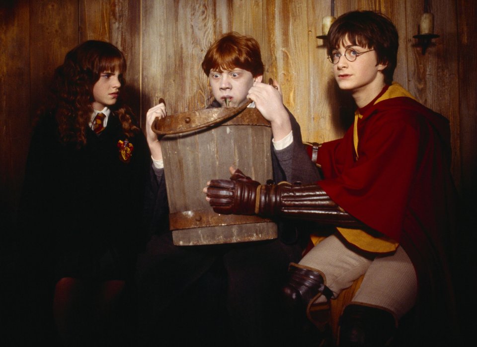 Harry Potter and the Chamber of Secrets was the second film in the franchise