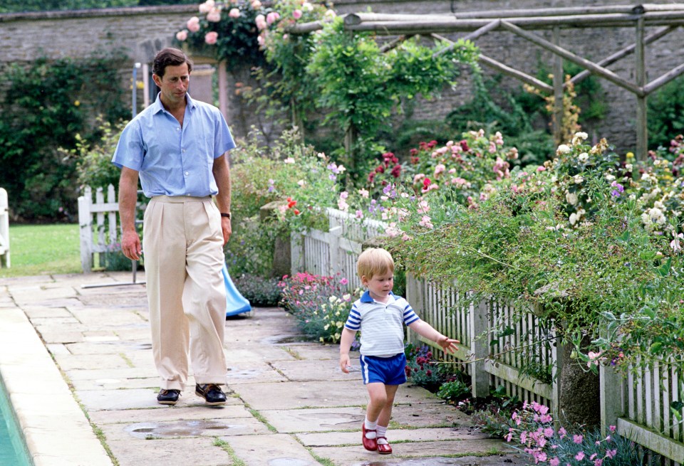 Prince Harry and Charles beside the swimming pool