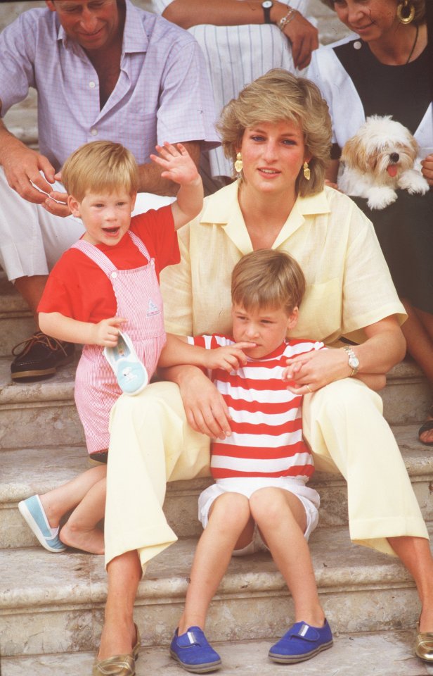 Diana's pal Richard Kay claims the princess was sat watching TV with her two young sons when Harry asked who Camilla was