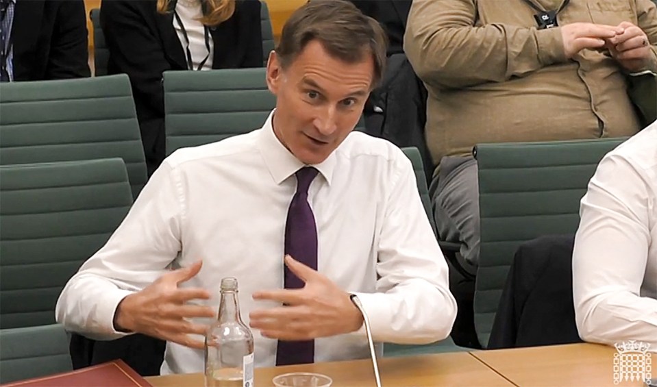 Jeremy Hunt has insisted he doesn't want to drag Britain back into the single market