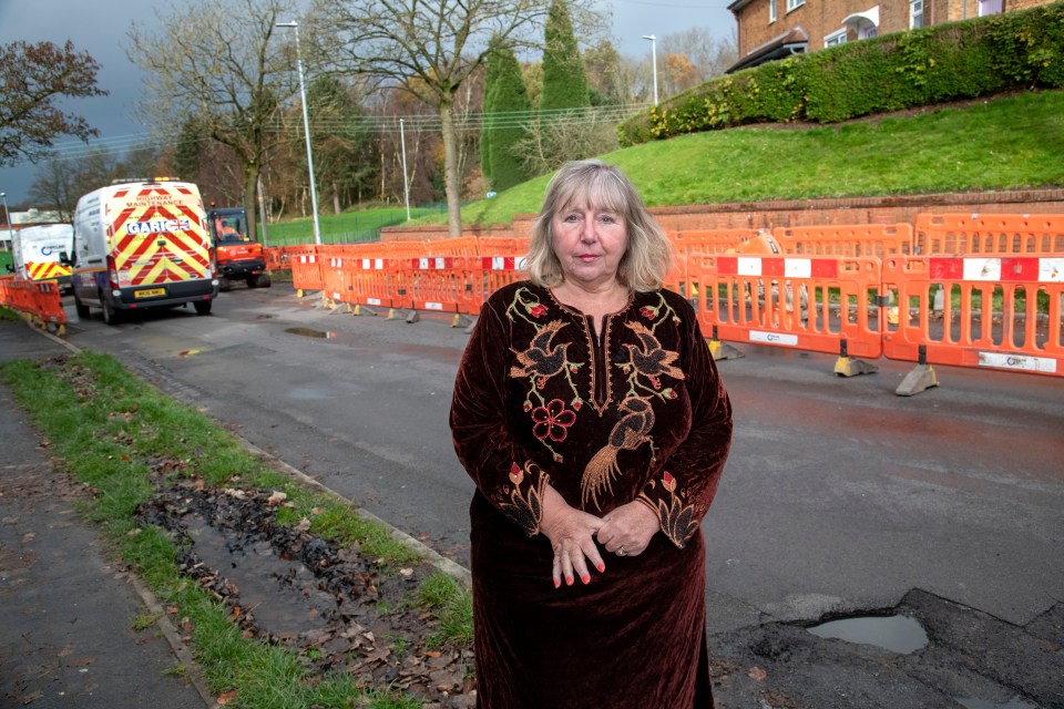 Lisa Singuglia said that she feared a child would be knocked over by the excess traffic around a local school