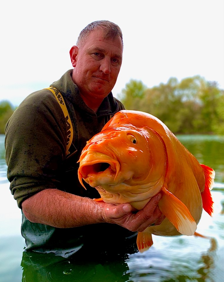 The fish weighed a whopping 67lbs 4ozs and was nicknamed The Carrot after it’s distinctive colour