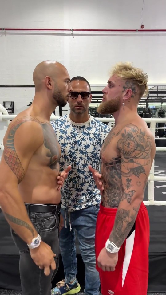 Jake Paul and Andrew Tate squared off ahead of a potential fight