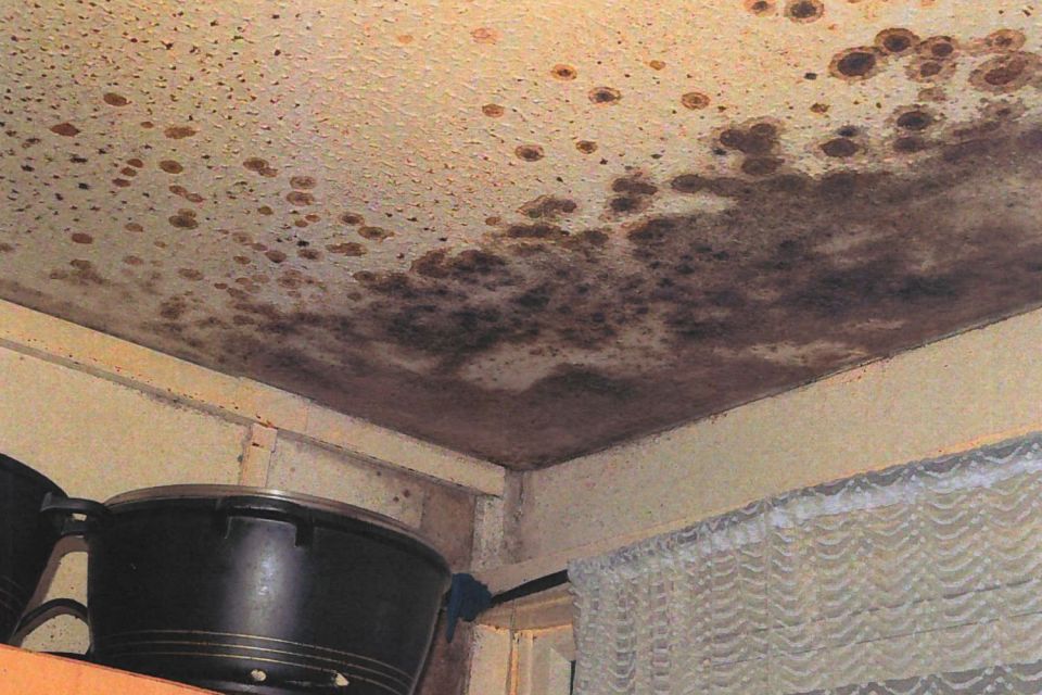 Images showed thick black mould in areas of the kitchen