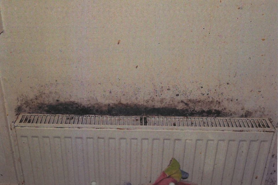 The damp and mould in the home severely affected the tots health, it has been claimed