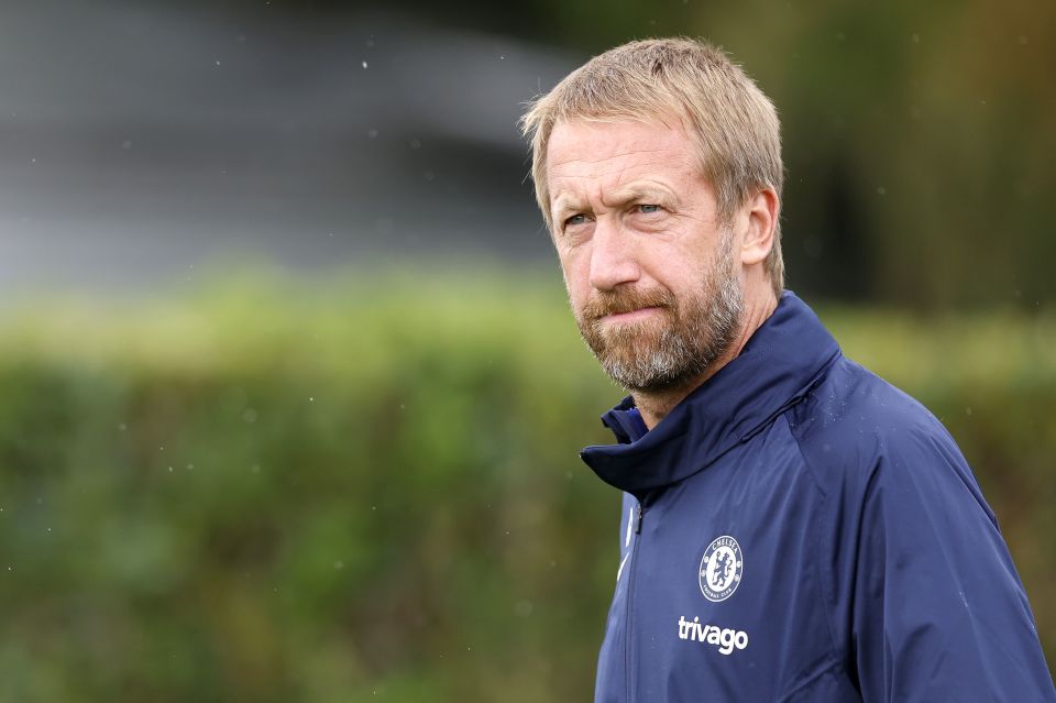 He will provide support to manager Graham Potter