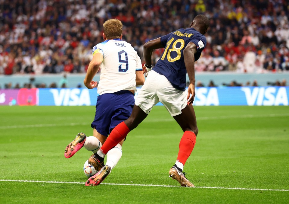 Kane appeared to be brought down by Dayot Upamecano